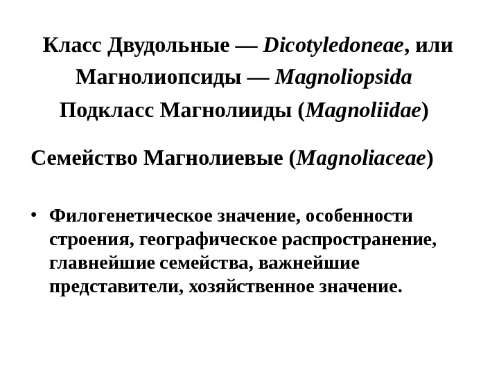 Класс Двудольные — Dicotyledoneae , или Магнолиопсиды — Magnoliopsida  Подкласс Магнолииды ( Magnoliidae