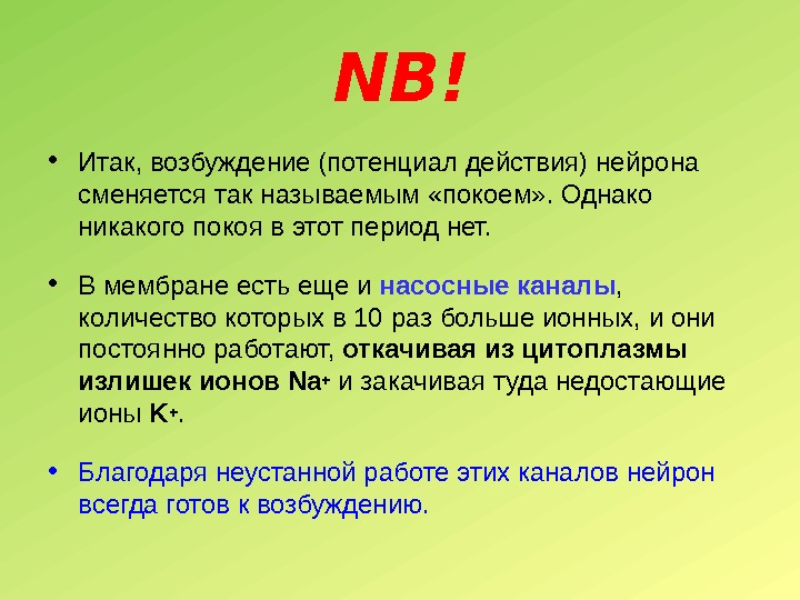 NB! • Итак, возбуждение (потенциал действия) нейрона сменяется так называемым «покоем» . Однако никакого