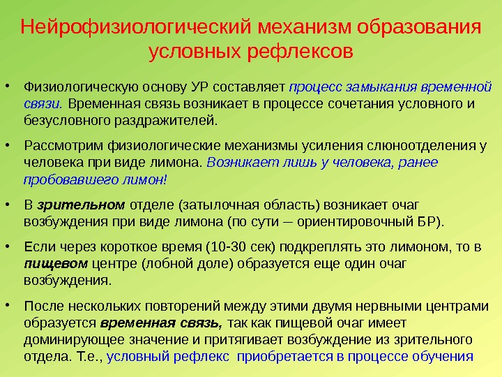 Нейрофизиологический механизм образования условных рефлексов • Физиологическую основу УР составляет процесс замыкания временной связи.