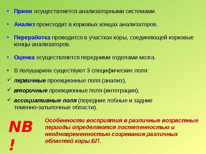  • Прием осуществляется анализаторными системами.  • Анализ происходит в корковых концах анализаторов.