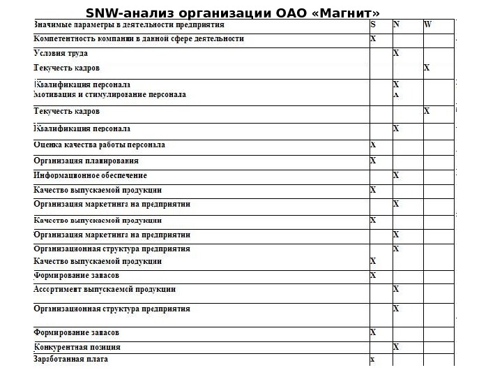 SNW-анализ организации ОАО «Магнит» 