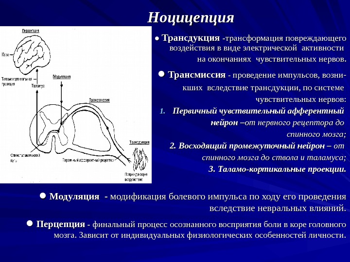 Ноцицепция  ●●  Трансдукция -- трансформация повреждающего воздействия в виде электрической активности на