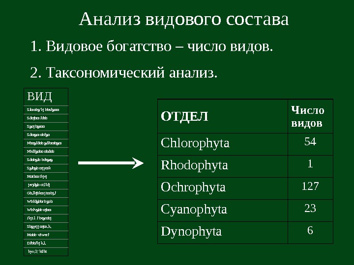   2. Таксономический анализ. Анализ видового состава 1. Видовое богатство – число видов.