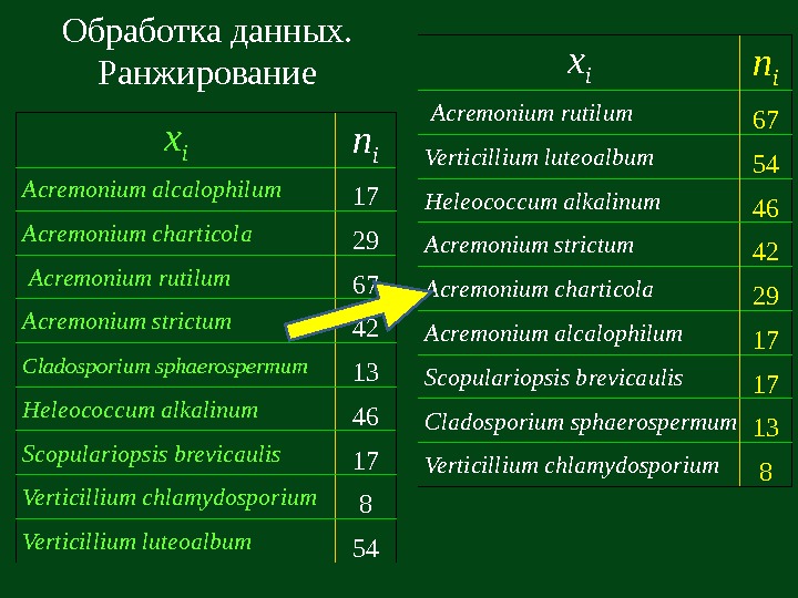   x i n i  Acremonium alcalophilum 17  Acremonium charticola 29
