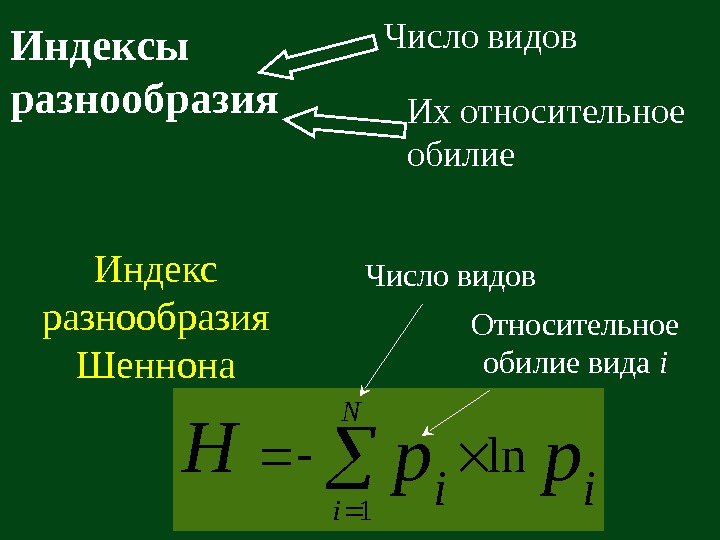   Индексы разнообразия Индекс разнообразия Шеннонаpp. H ii N i ln 1 Относительное