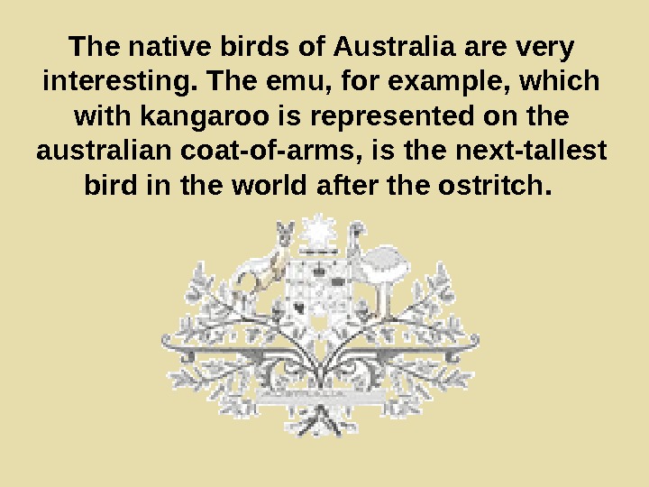   The native birds of Australia are very interesting. The emu, for example,