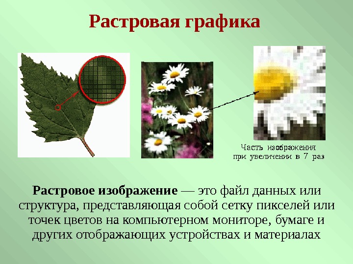 Растровая графика