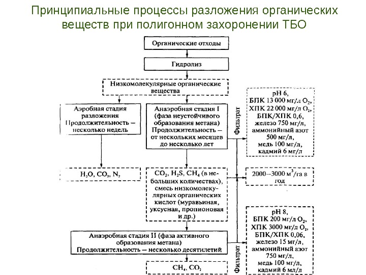 Принципиальные процессы разложения органических веществ при полигонном захоронении ТБО 