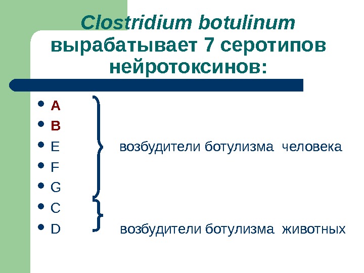 Clostridium botulinum  вырабатывает 7 серотипов нейротоксинов:  А В E   