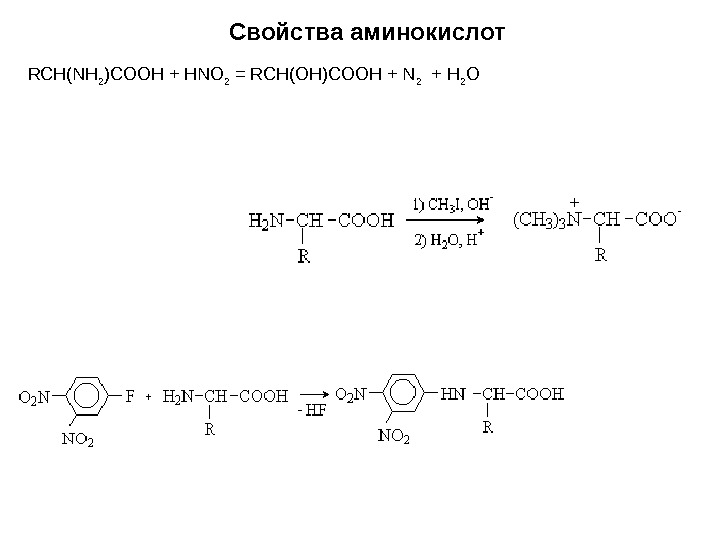 Свойства аминокислот RCH(NH 2 )COOH + HNO 2 = RCH(OH)COOH + N 2 