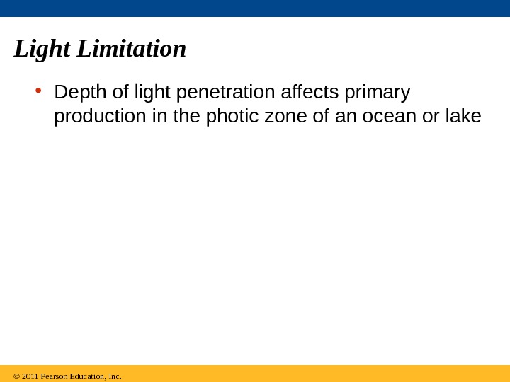 Light Limitation • Depth of light penetration affects primary production in the photic zone