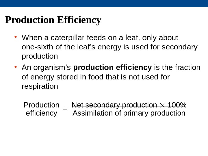 Production Efficiency • When a caterpillar feeds on a leaf, only about one-sixth of