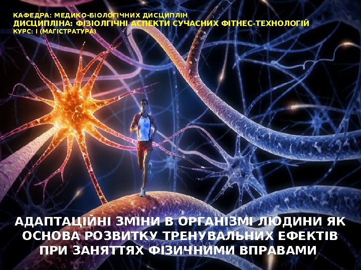 АДАПТАЦІЙНІ ЗМІНИ В ОРГАНІЗМІ ЛЮДИНИ ЯК ОСНОВА РОЗВИТКУ ТРЕНУВАЛЬНИХ ЕФЕКТІВ ПРИ ЗАНЯТТЯХ ФІЗИЧНИМИ ВПРАВАМИ