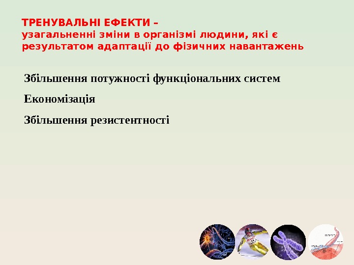 ТРЕНУВАЛЬНІ ЕФЕКТИ – узагальненні зміни в організмі людини, які є результатом адаптації до фізичних