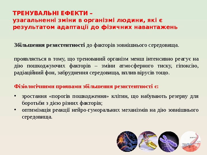 ТРЕНУВАЛЬНІ ЕФЕКТИ – узагальненні зміни в організмі людини, які є результатом адаптації до фізичних