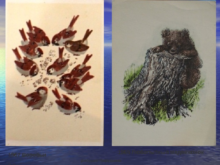 1967 Воробьи      рисунки Чарушина Е. И. 1965 Любопытный медвежонок