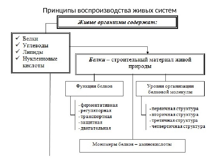 Воспроизводство живого