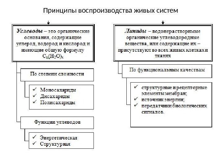 Воспроизводство живого