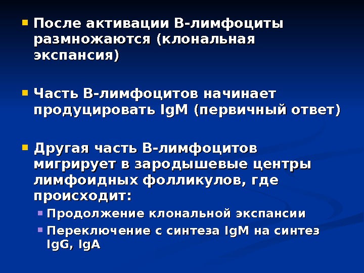  После активации В-лимфоциты размножаются (клональная экспансия) Часть В-лимфоцитов начинает продуцировать Ig. M (первичный