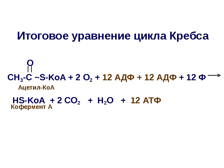 Итоговое уравнение цикла Кребса СН 3 -С ~ S-Ko. A + 2 O 2