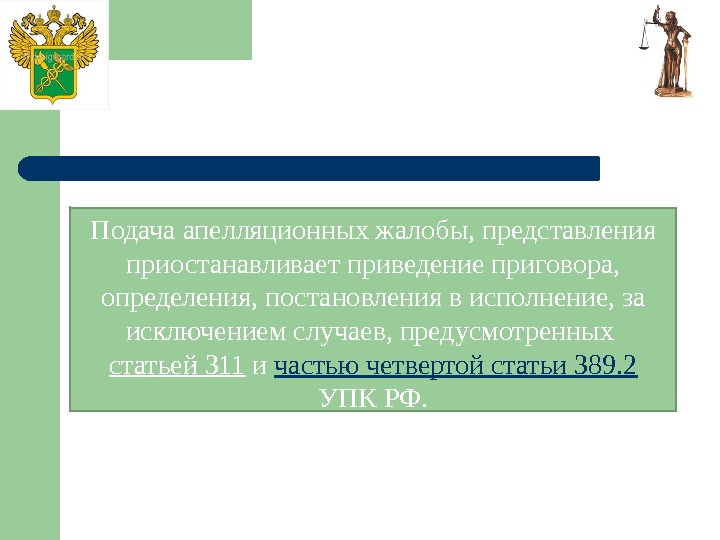 Подача апелляционных жалобы, представления приостанавливает приведение приговора,  определения, постановления в исполнение, за исключением