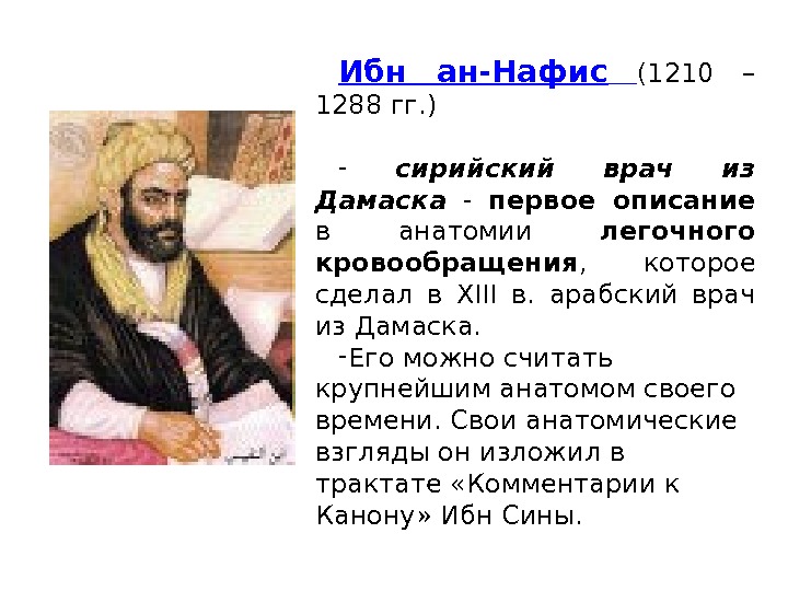 Ибн ан-Нафис  (1210 – 1288 гг. ) -  сирийский врач из Дамаска