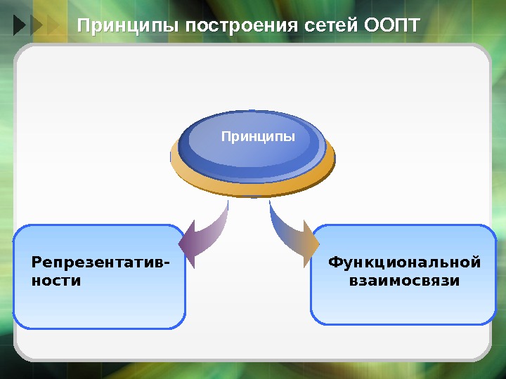 Принципы построения сетей ООПТ Функциональной взаимосвязи. Репрезентатив- ности Принципы  05 