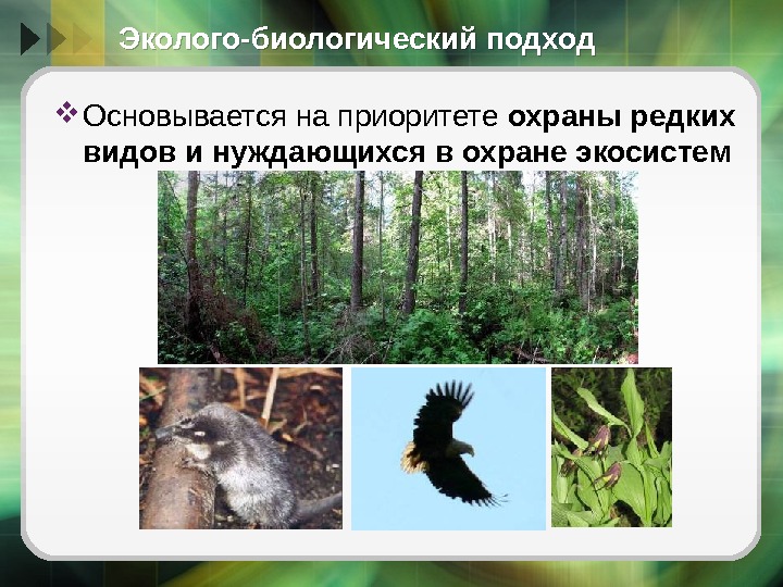 Эколого-биологический подход Основывается на приоритете охраны редких видов и нуждающихся в охране экосистем 