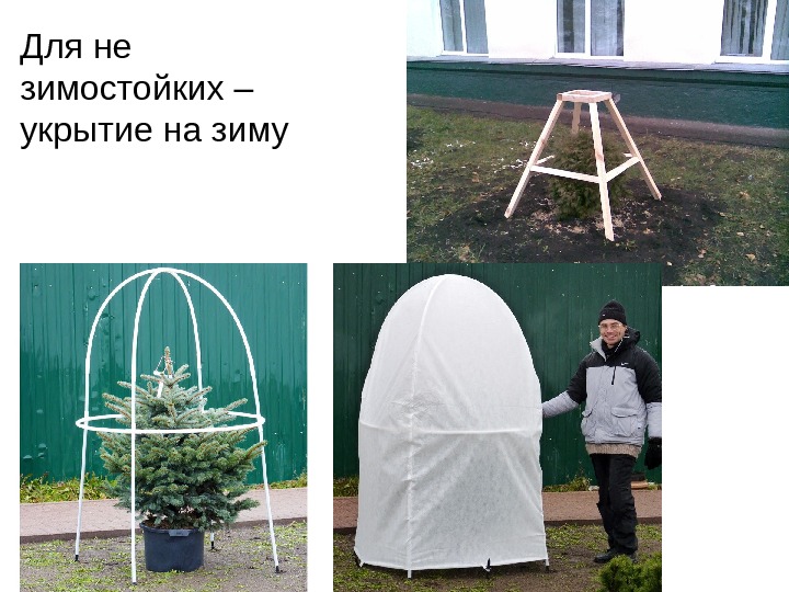 Каркасы Для Укрытия Роз На Зиму Фото