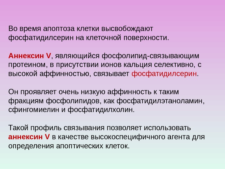 Во время апоптоза клетки высвобождают фосфатидилсерин на клеточной поверхности.  Аннексин V , являющийся