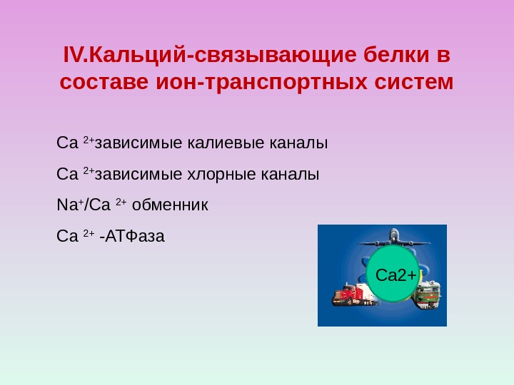 IV. Кальций-связывающие белки в составе ион-транспортных систем Са 2+ зависимые калиевые каналы Са 2+