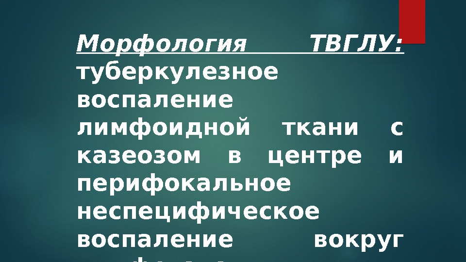 Морфология ТВГЛУ:  туберкулезное воспаление лимфоидной ткани с казеозом в центре и перифокальное неспецифическое