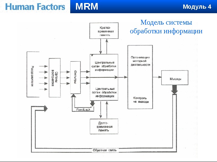 Модель системы обработки информации. MRM Модуль 4 