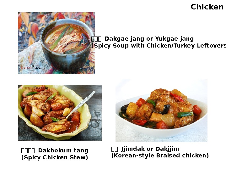 Chicken 한한한 Dakgae jang or Yukgae jang (Spicy Soup with Chicken/Turkey Leftovers) 한한한한 Dakbokum