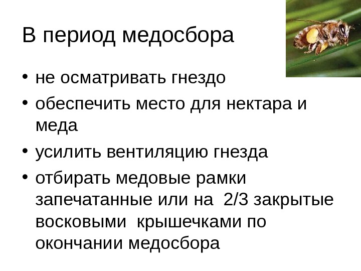 В период медосбора • не осматривать гнездо  • обеспечить место для нектара и