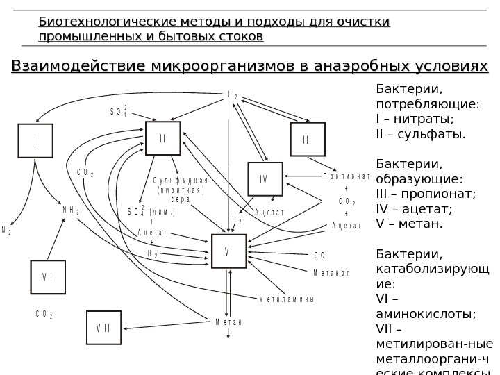 Взаимодействие микроорганизмов в анаэробных условиях Биотехнологические методы и подходы для очистки промышленных и бытовых