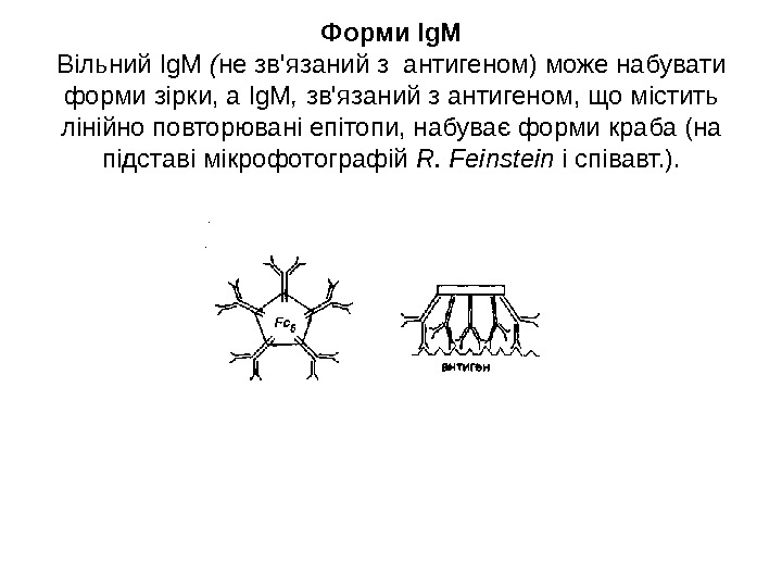 Форми Ig. M Вільний Ig. M  ( не зв'язаний з антигеном) може набувати