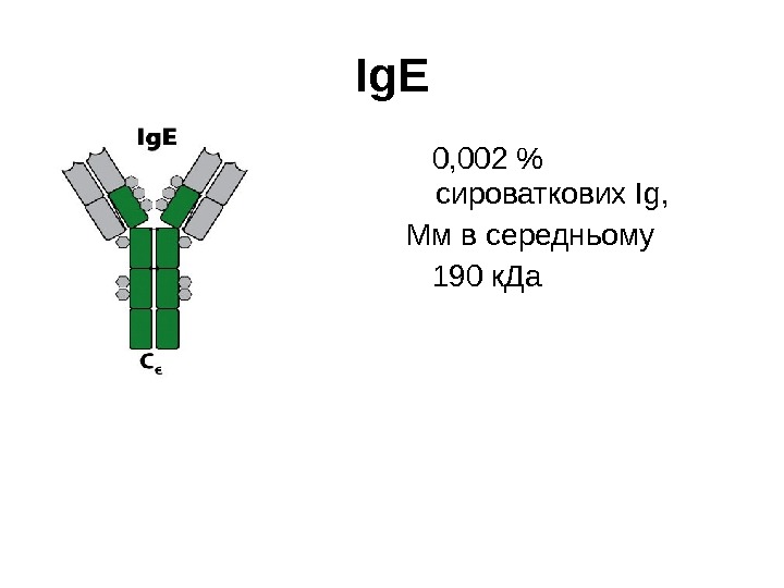 Ig Е 0, 002  сироваткових І g,  Мм в середньому 190 к.
