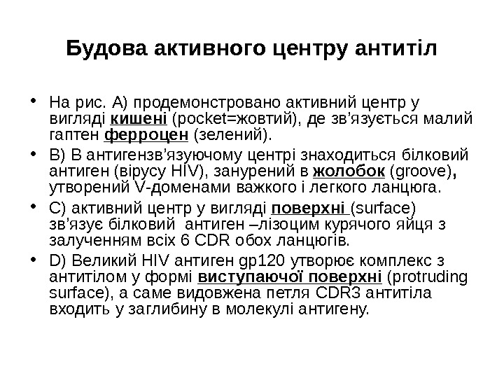 Будова активного центру антитіл • На рис.  A ) продемонстровано активний центр у