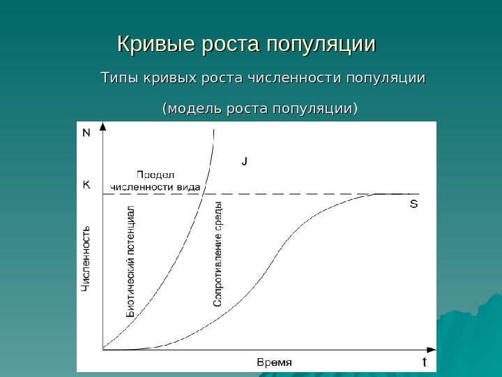 Кривые роста популяции  Типы кривых роста численности популяции (модель роста популяции)  