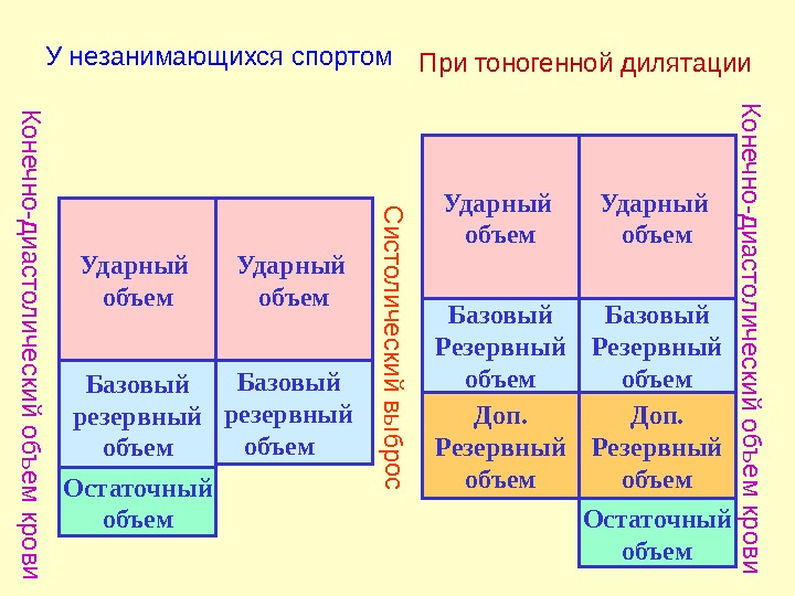 Ударный объем. К о н е ч н о -д и а с т