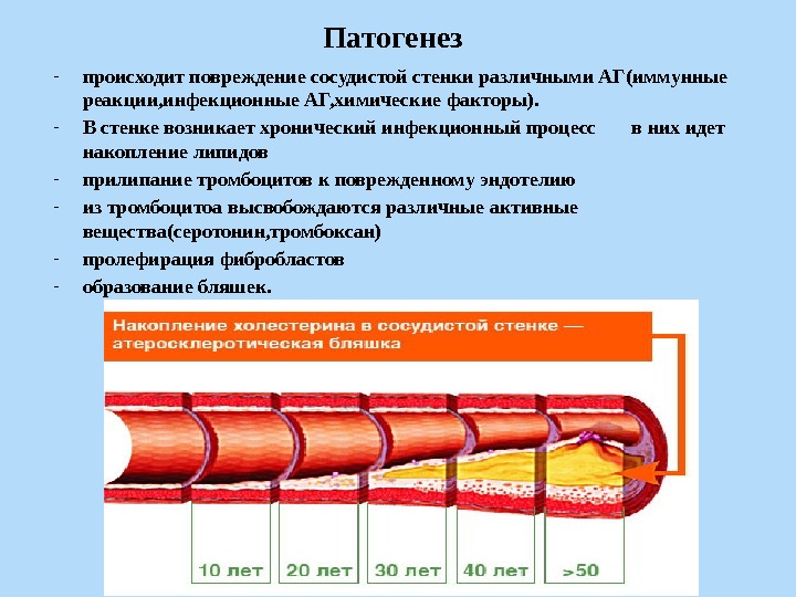 Патогенез - происходит повреждение сосудистой стенки различными АГ(иммунные реакции, инфекционные АГ, химические факторы). -