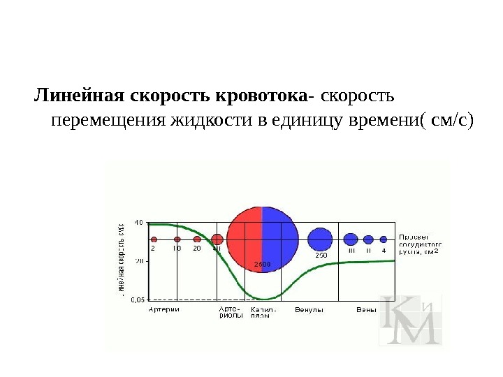 Линейная скорость кровотока равна