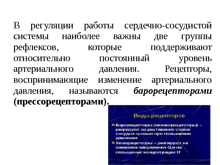 В регуляции работы сердечно-сосудистой системы наиболее важны две группы рефлексов,  которые поддерживают относительно