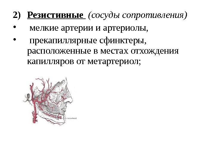 2) Резистивные  (сосуды сопротивления) •  мелкие артерии и артериолы,  • 