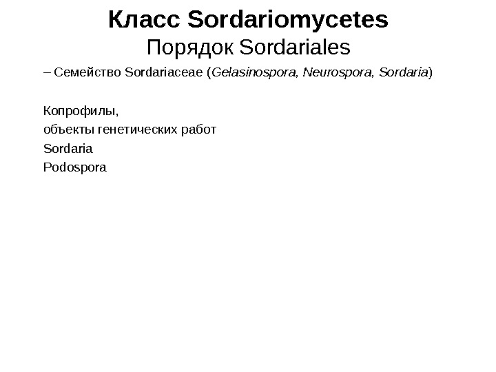   Класс Sordariomycetes Порядок Sordariales – Семейство Sordariaceae ( Gelasinospora, Neurospora, Sordaria )