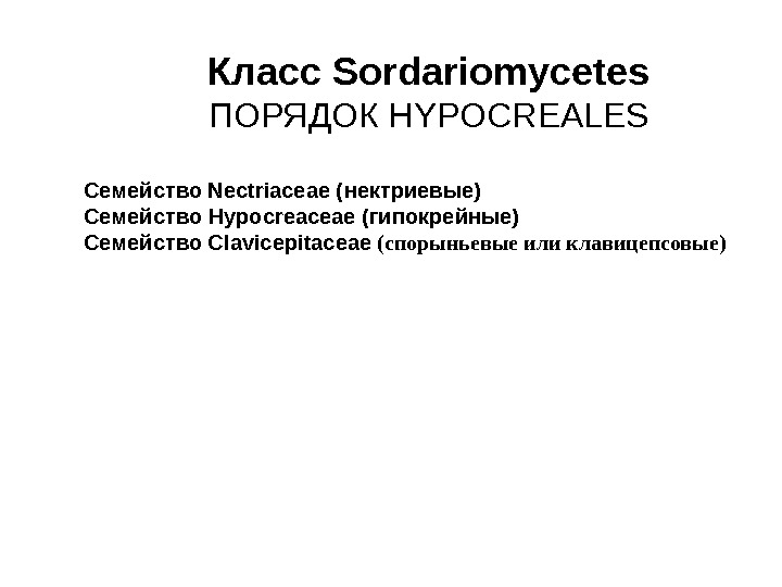   Класс Sordariomycetes ПОРЯДОК HYPOCREALES Семейство Nectriaceae ( нектриевые) Семейство Hypocreaceae ( гипокрейные)
