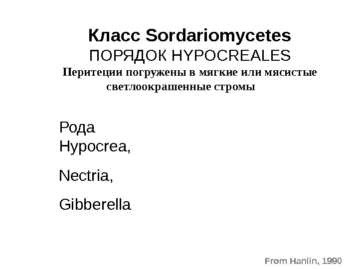   Класс Sordariomycetes ПОРЯДОК HYPOCREALES Перитеции погружены в мягкие или мясистые светлоокрашенные стромы