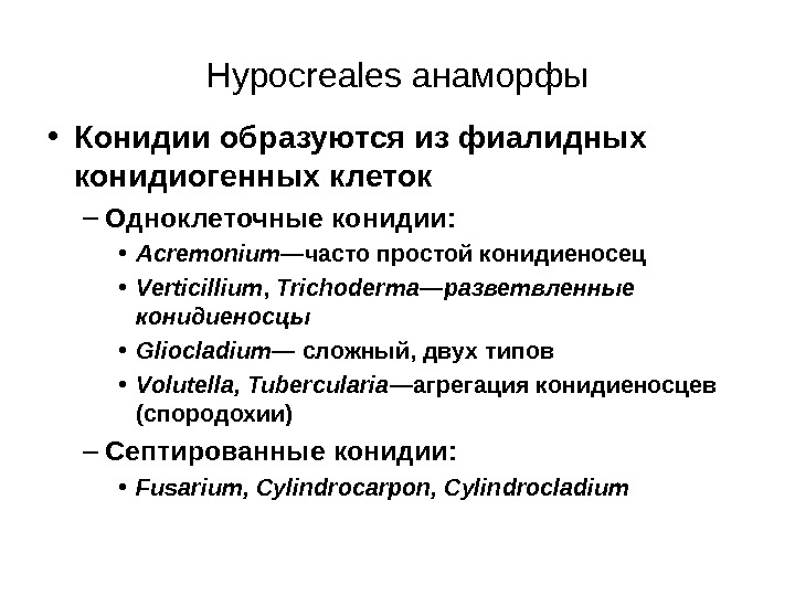   Hypocreales анаморфы • Конидии образуются из фиалидных конидиогенных клеток – Одноклеточные конидии