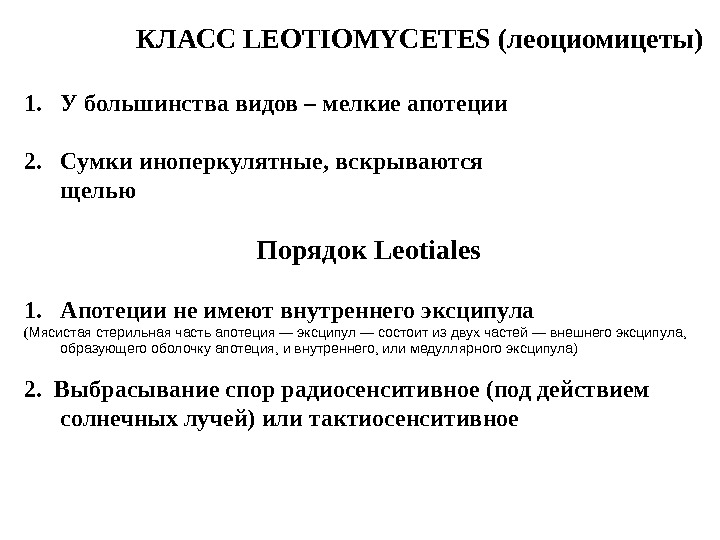      КЛАСС LEOTIOMYCETES (леоциомицеты) 1. У большинства видов – мелкие